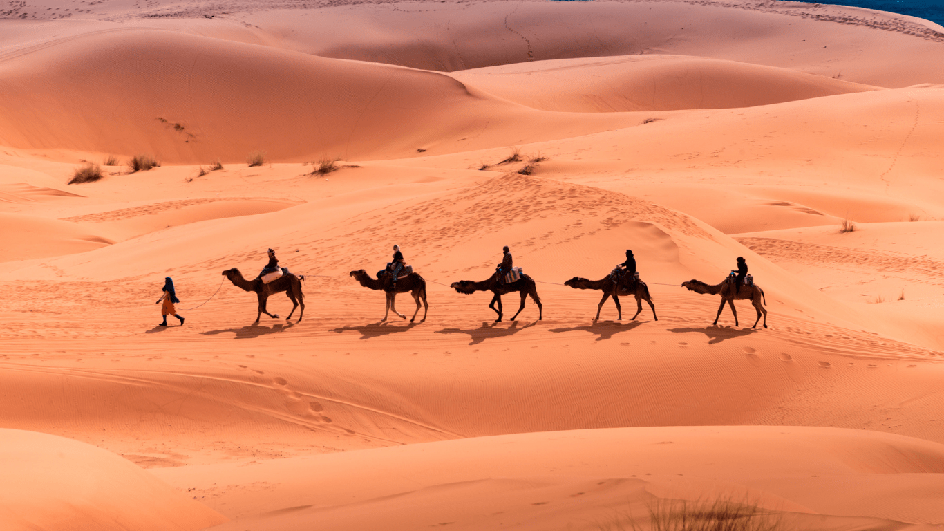 Viaje de 12 días desde Casablanca a Marrakech